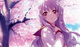 动漫的网站,探索各大热门动漫网站的魅力之旅