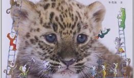 动物王国 漫画,趣味横生的动物生活大揭秘