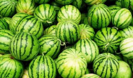 吃瓜爆料什么时间容易火,揭秘热门话题爆发黄金时段